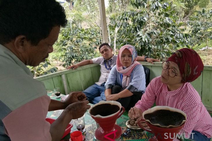 Kopi Arabika Marancar mulai diminati dunia