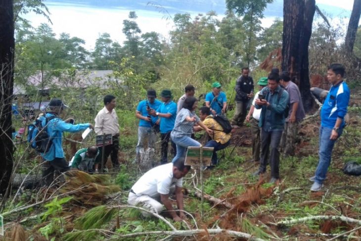 Bukit kritis Danau Toba ditanami pohon