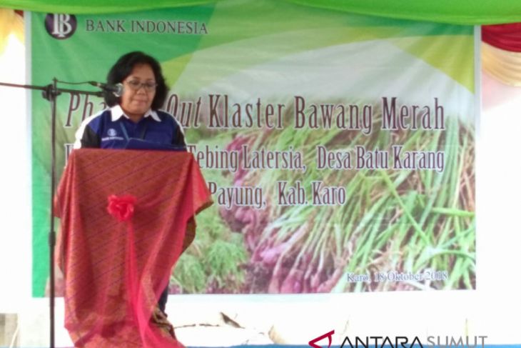 Bank Indonesia diharap terus bina petani bawang