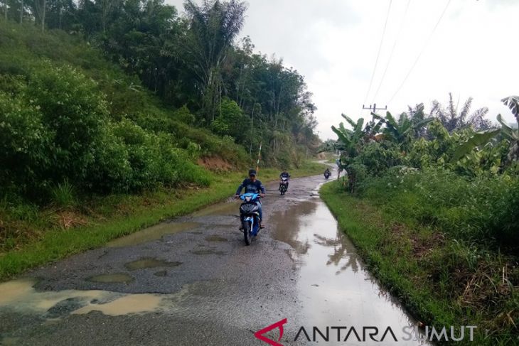 Hotmix jalan Provinsi Sipirok - Arse mulai mengelupas