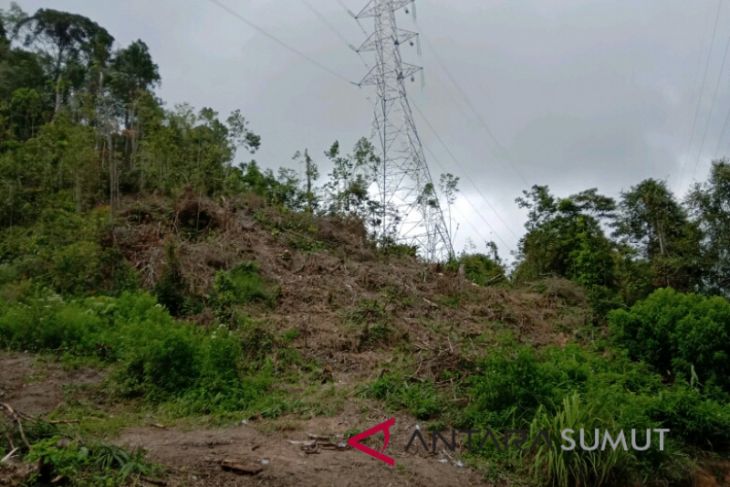 Pembalakan hutan Parapat terkesan dibiarkan