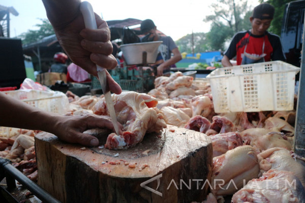 Lebaran 2019 Harga Daging Ayam di Bojonegoro Naik 