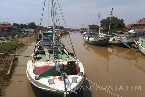 Rencana Mencabut Subsidi Solar Minta Dikaji Ulang - ANTARA 