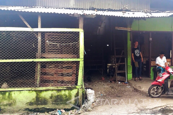 Sidoarjo Minta Pedagang Cari Alternatif Penjualan Ayam