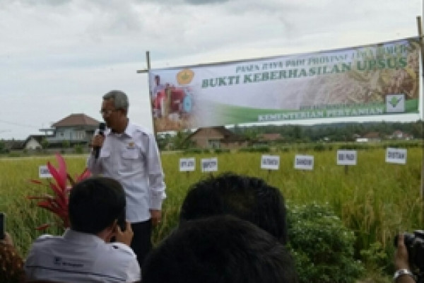 Kabupaten Malang Panen Perdana Padi Ciherang