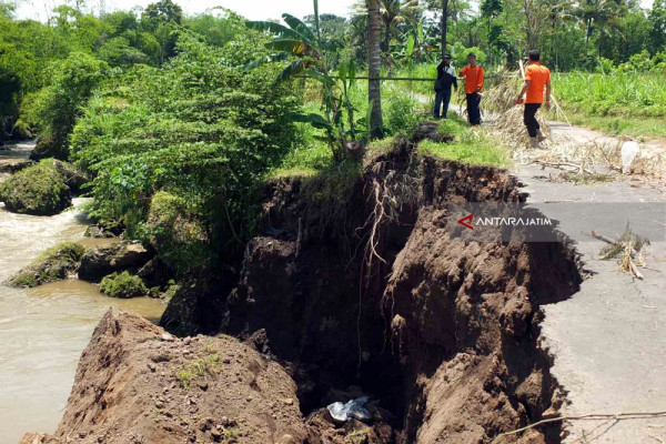 Jalan Penghubung Dua Desa di Jember Ambles Akibat Longsor (Video)