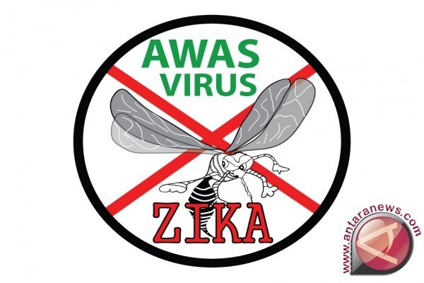 Begini Cara Zika Menginfeksi Otak