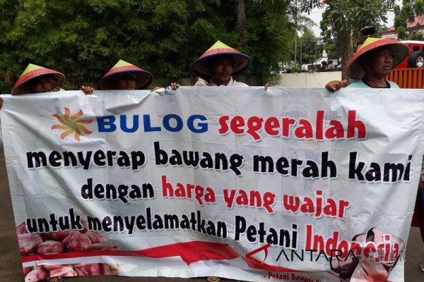 Petani bawang tuntut pemerintah serap hasil panen