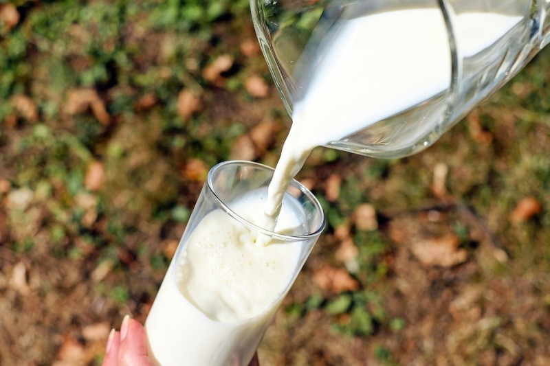 Atasi masalah gizi masyarakat dengan tingkatkan minum susu