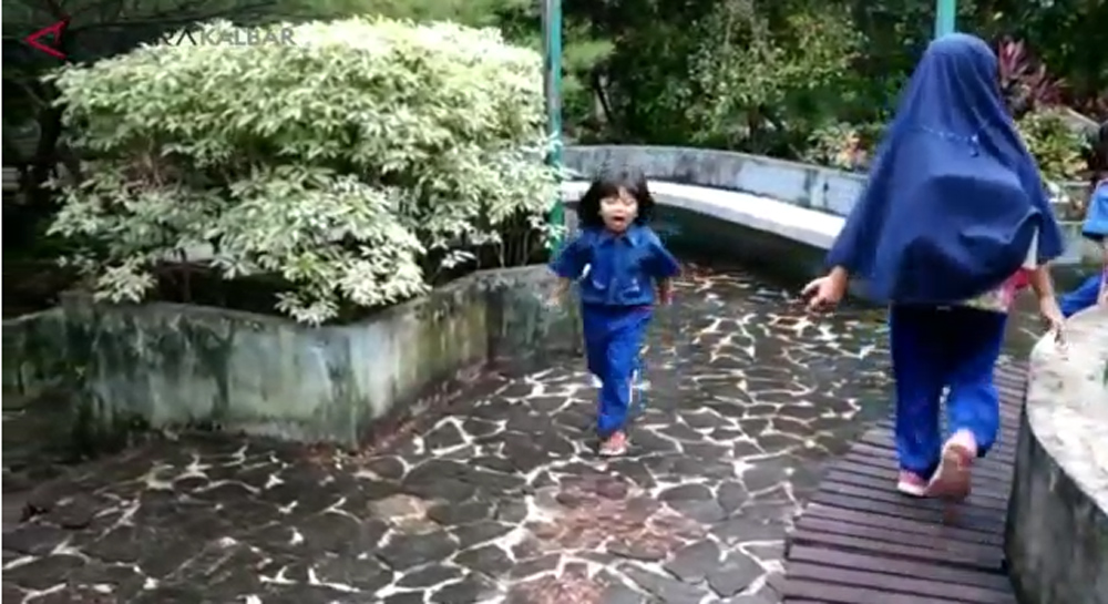 Pengenalan Tanaman Khas Pontianak