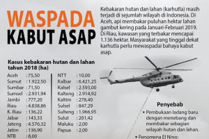 Waspada bahaya kabut asap