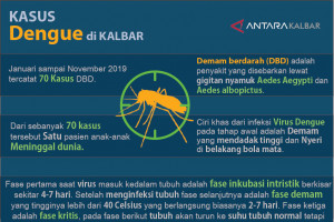 Kasus demam berdarah di Kalbar