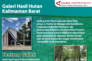 Galeri hasil hutan Kalimantan Barat