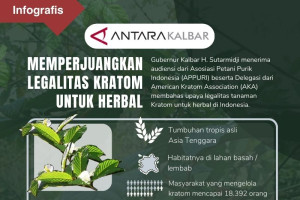 Memperjuangkan legalitas Kratom untuk herbal