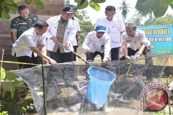Belasan ton