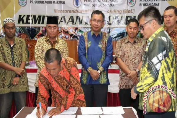 PT SAM Serahkan 22,5% Lahannya Untuk Plasma