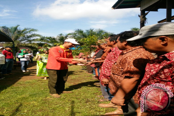 Yayasan Adaro Tanam 200 Bibit Pucuk Merah