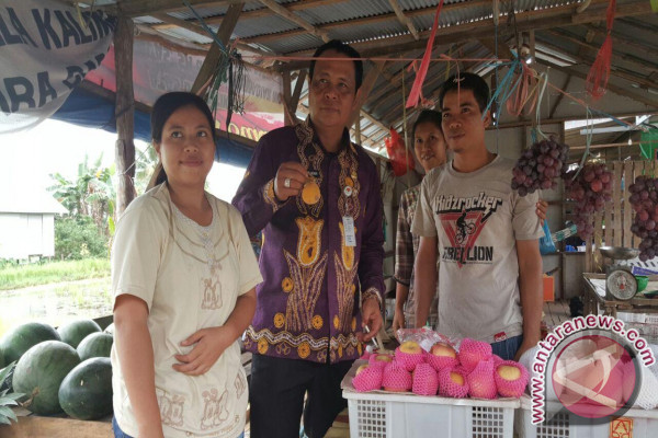 Gubernur Kalsel Ajak Warga Lestarikan Buah Lokal