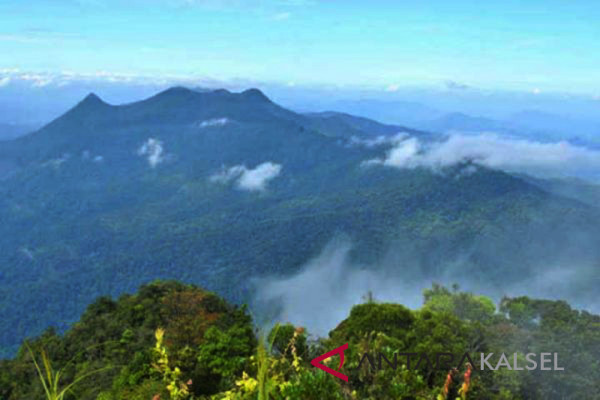 Pakar Lingkungan : HST Harus Bebas Dari Sawit dan Tambang