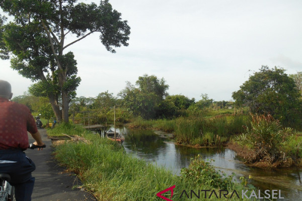 Banjar Mengoptimalkan Lahan Rawa Lebak 500 Hektare