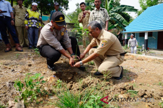 Sewindu SMKN 1 Binuang tanam 80 bibit pohon