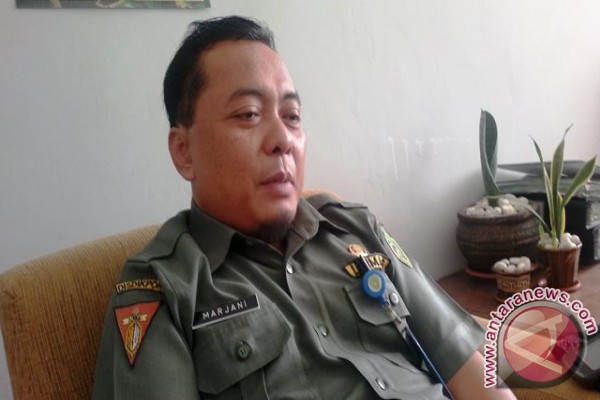 300 Tenaga Pendidik Di Penajam Belum Bersertifikat