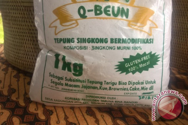 Kadungan Jaya Berpotensi Berdiri Pabrik Tepung Besar