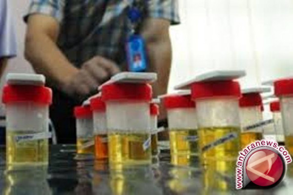 Lima honorer Dinkes Penajam absen jalani tes urine