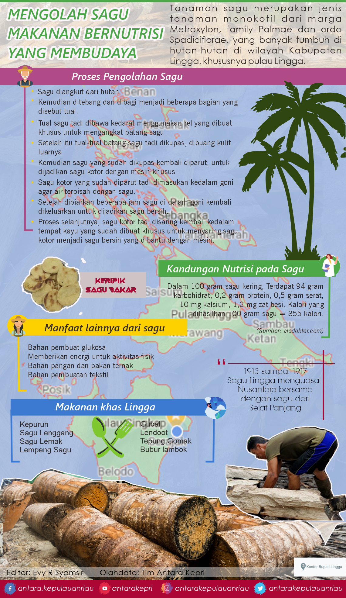 Infografik: Mengolah sagu makanan bernutrisi yang membudaya