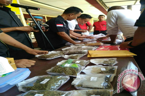 Mahasiswa Sorong Tertangkap Edarkan Ganja di Manokwari