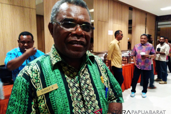 Masukan LSM dibutuhkan terkait penambangan emas Wondama
