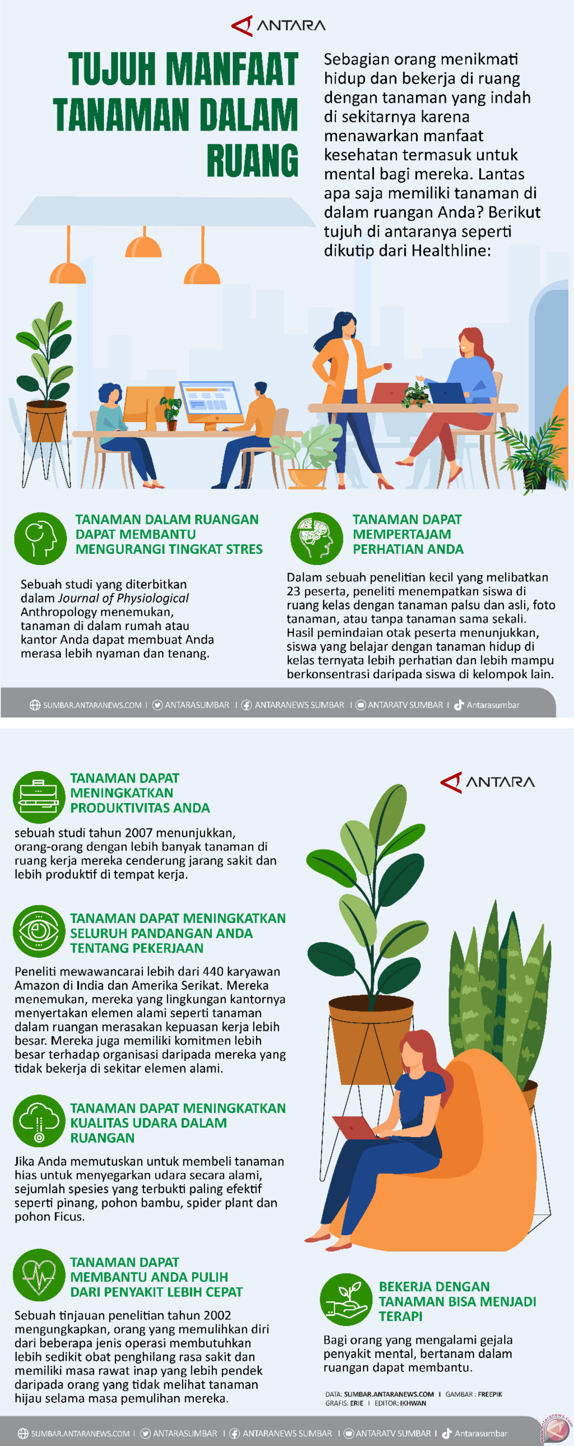 TUJUH MANFAAT TANAMAN DALAM RUANG