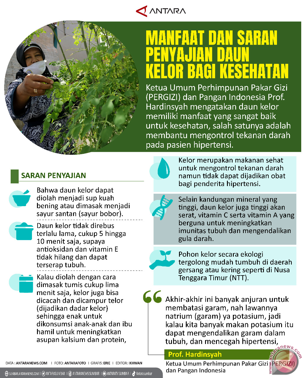 Manfaat Dan Saran Penyajian Daun Kelor Bagi Kesehatan - Infografik ...