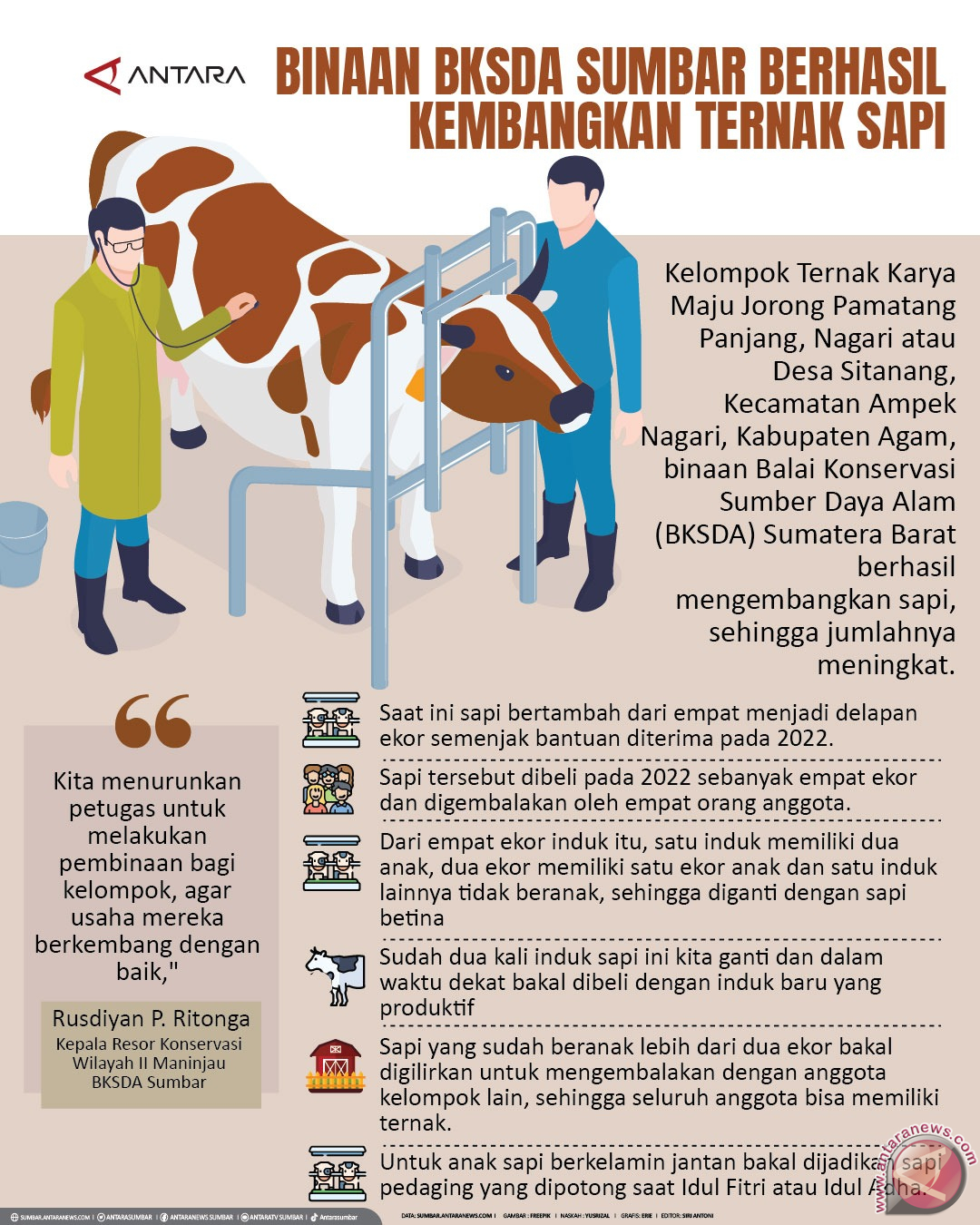 Binaan BKSDA Sumbar berhasil kembangkan ternak sapi