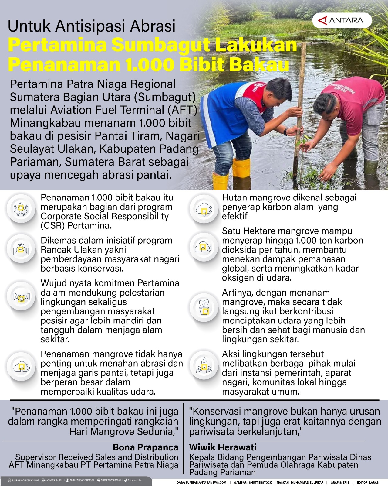 Untuk antisipasi abrasi Pertamina Sumbagut lakukan penanaman 1.000 bibit bakau