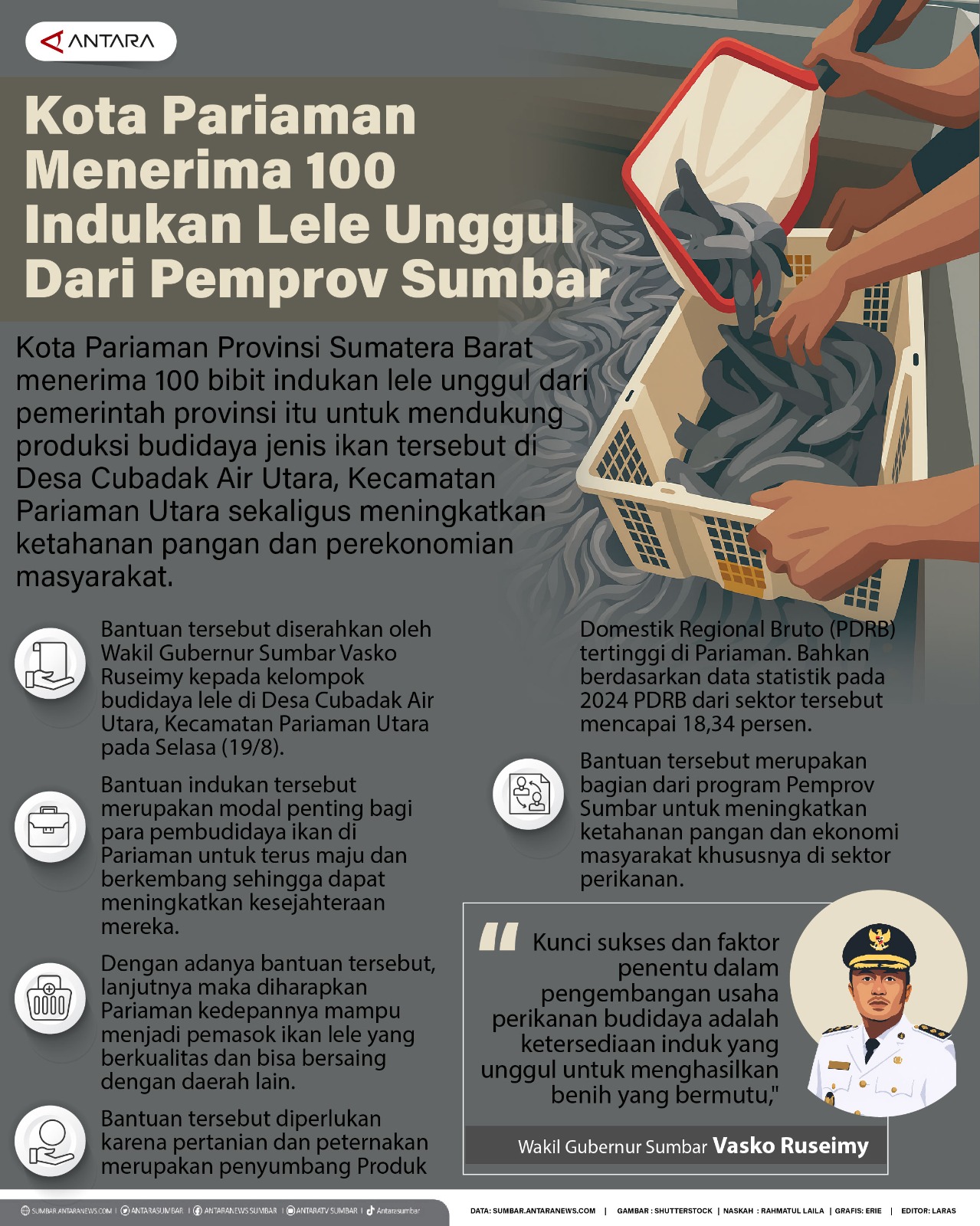 Kota Pariaman menerima 100 indukan lele unggul dari Pemprov Sumbar
