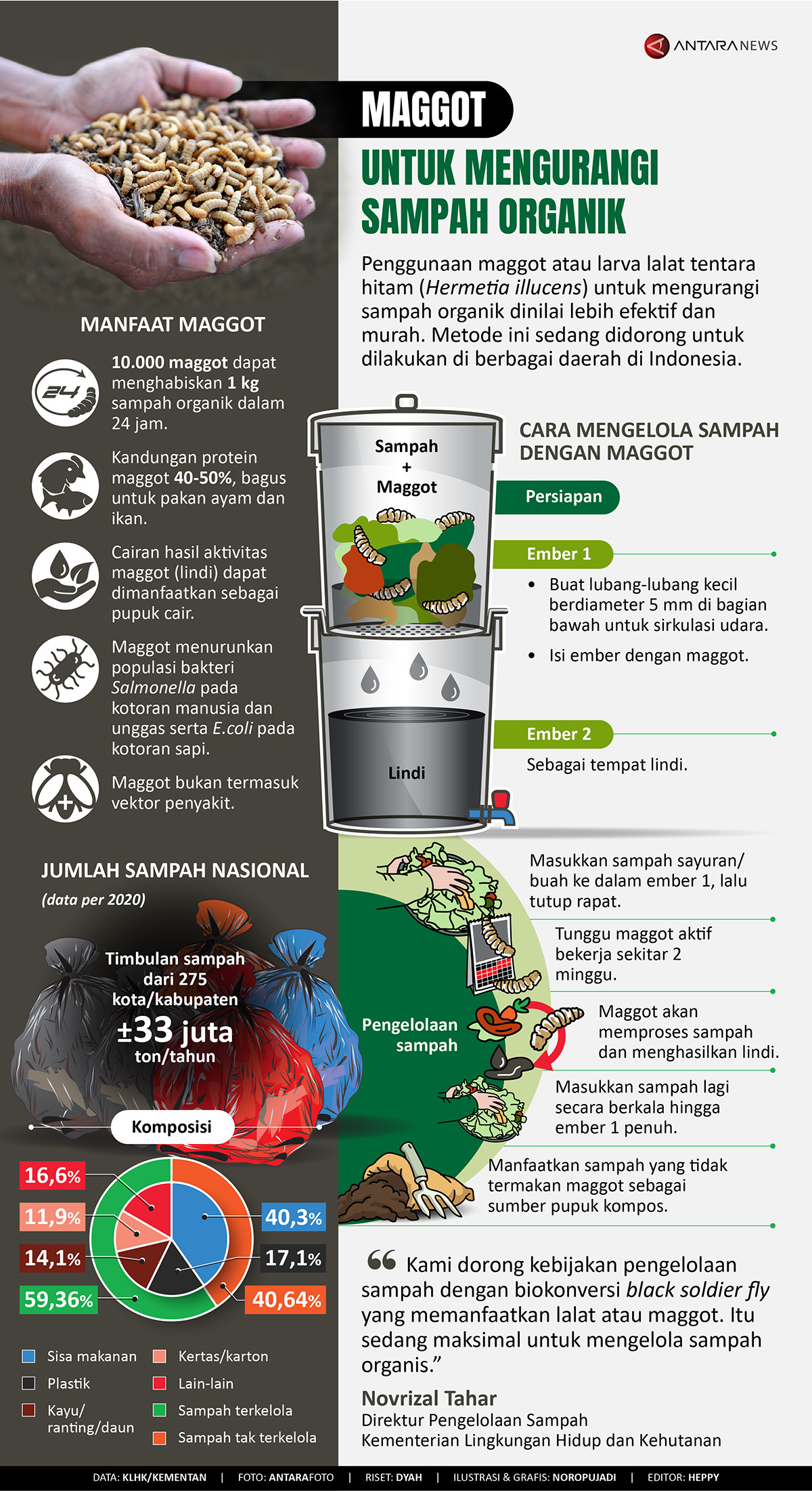Maggot untuk mengurangi sampah organik