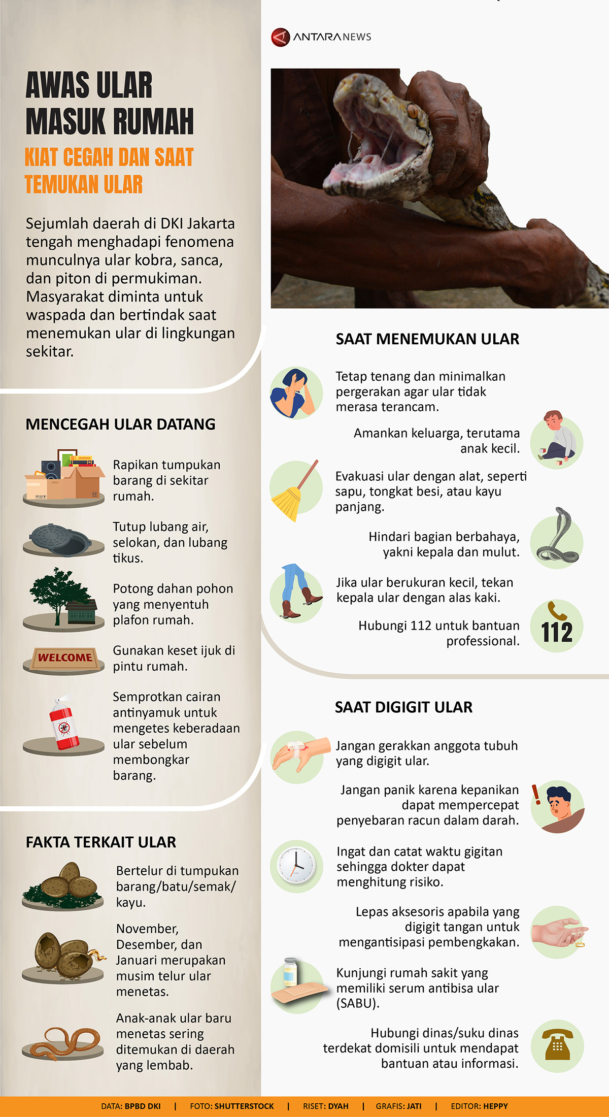 Kiat cegah dan saat temukan ular di rumah