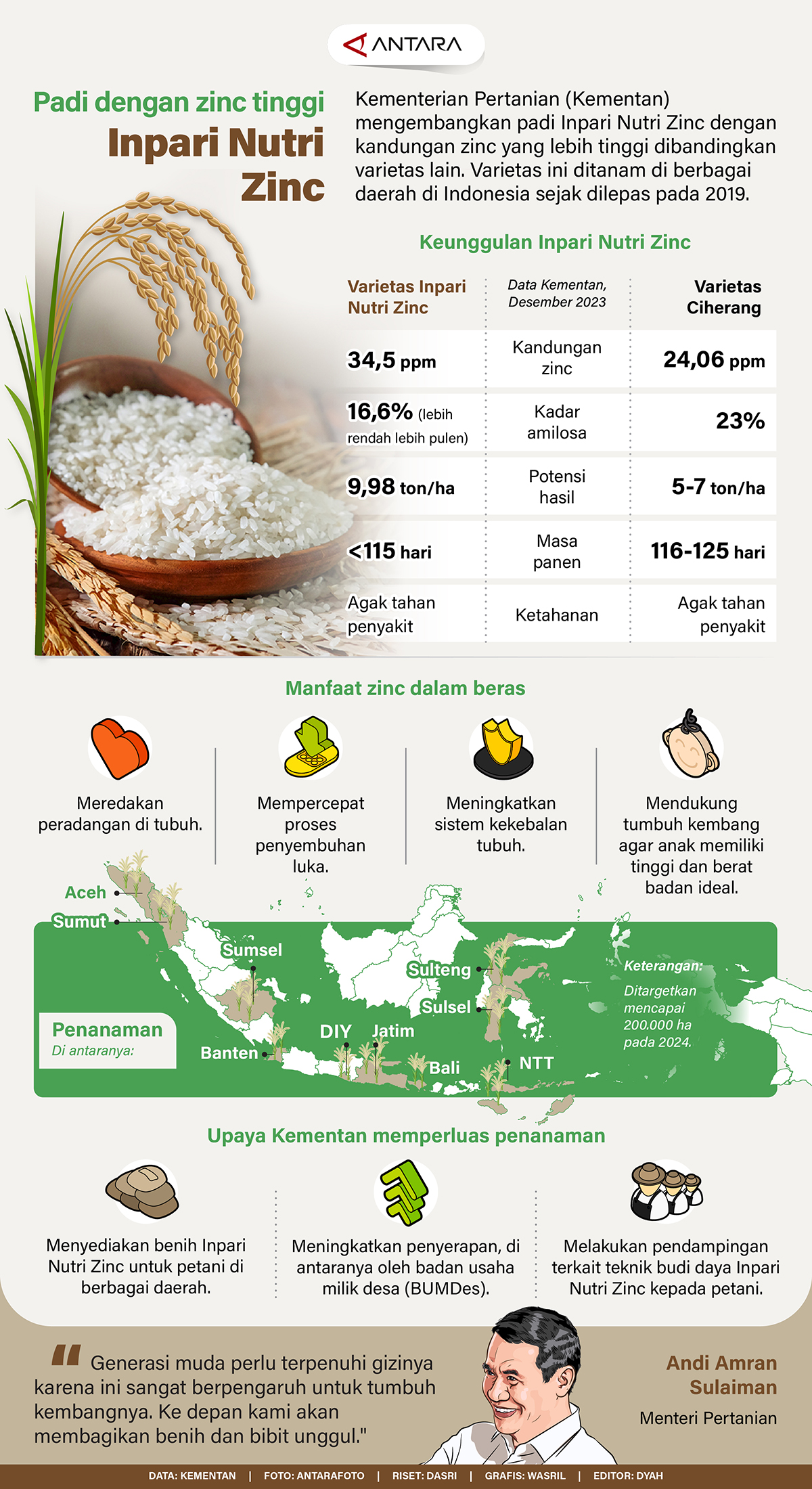 Padi dengan zinc tinggi Inpari Nutri Zinc