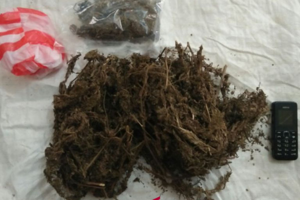 Aparat Kodim ringkus pemilik lima kilogram ganja