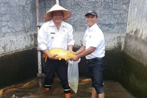 Lipi tinjau BBI Samosir